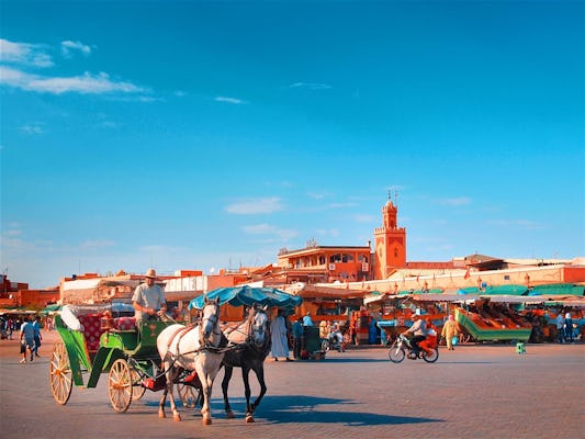 Tour privato della città di Marrakech per l'intera giornata con autista