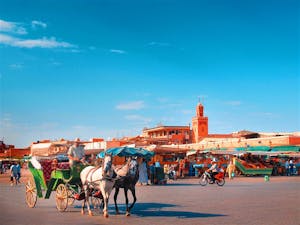 City Tours in Marrakesh