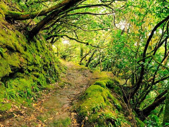 Trekking Tour of the Anaga Mountains