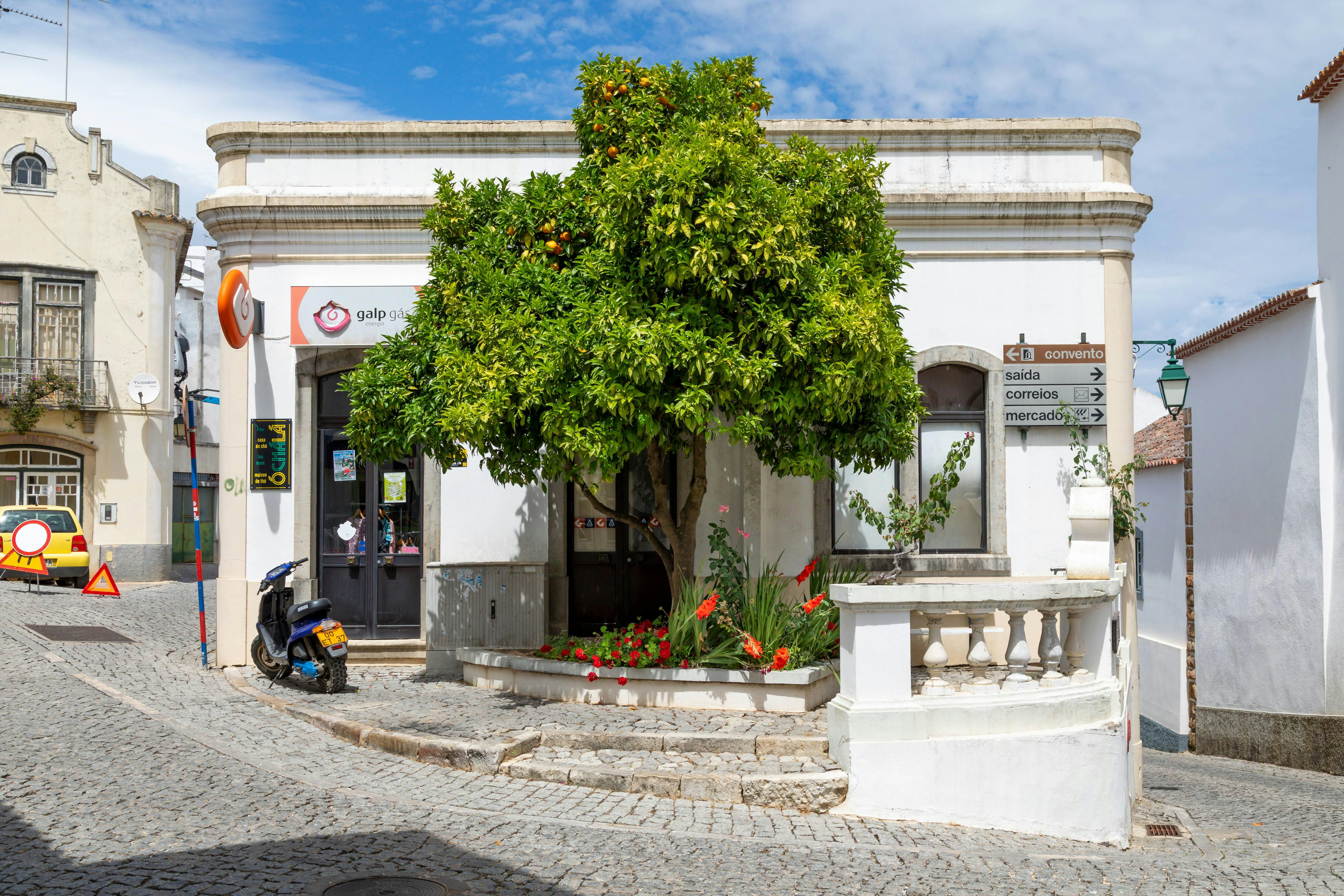 Algarve Countryside and Vineyard Tour