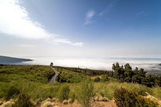Tenerife Lunar Landscape Trekking Tour