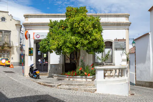 Algarve Countryside and Vineyard Tour