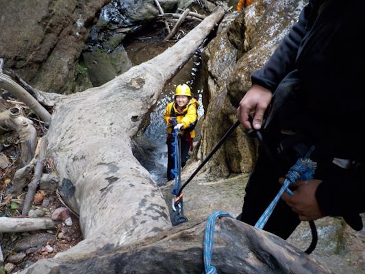 Abseilen en canyoning-avontuur in Juggler Canyon in Blue Mountains