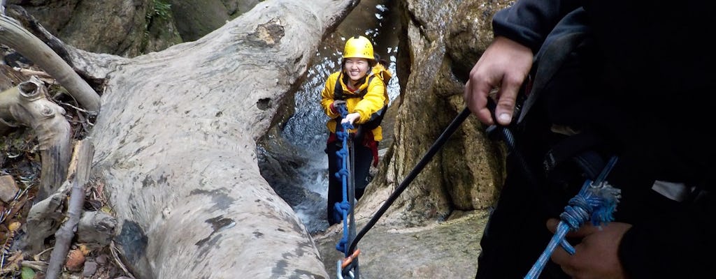 Abseilen en canyoning-avontuur in Juggler Canyon in Blue Mountains