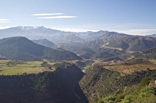 202006255ef4909e2abf0.jpg