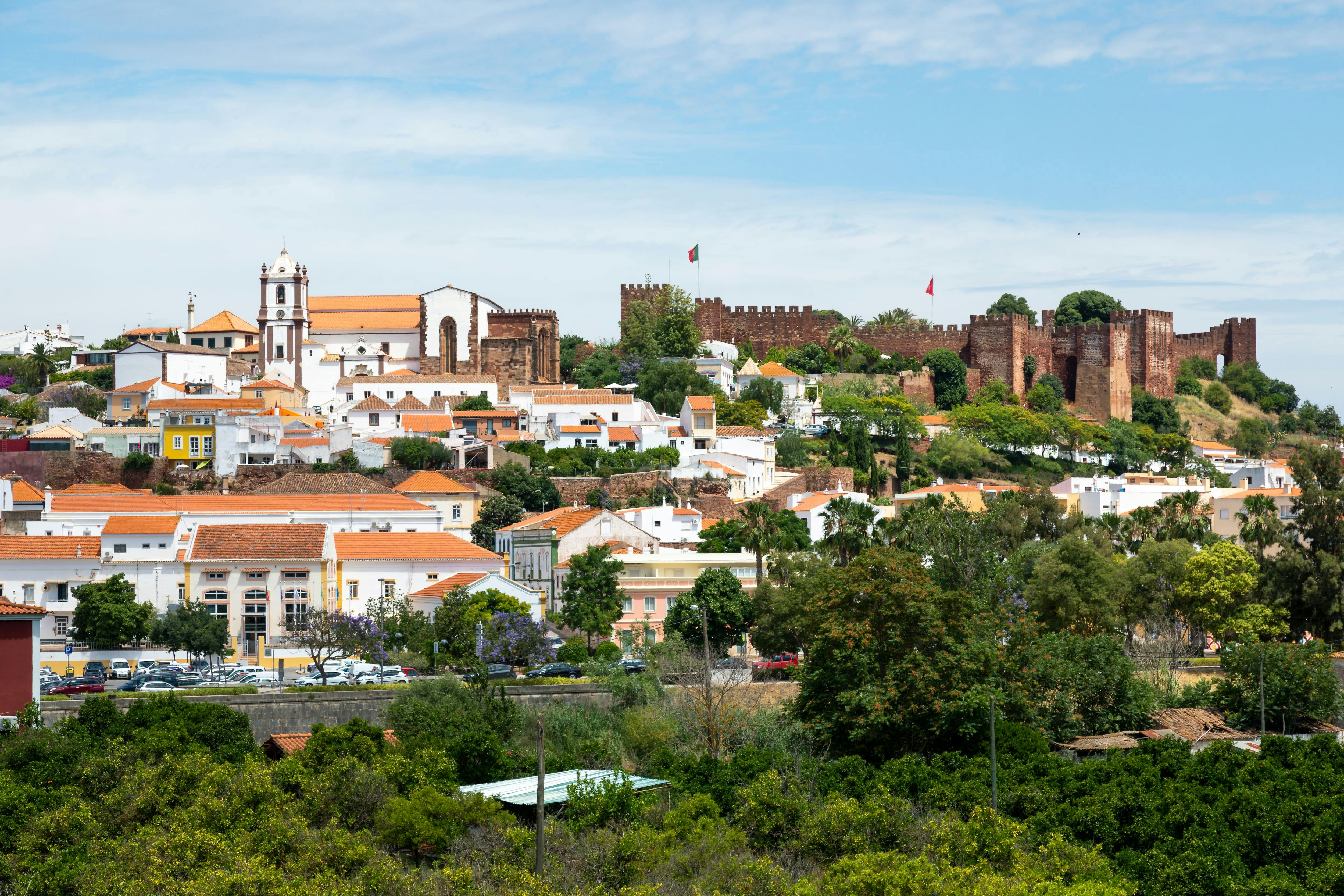 Algarve Countryside and Vineyard Tour