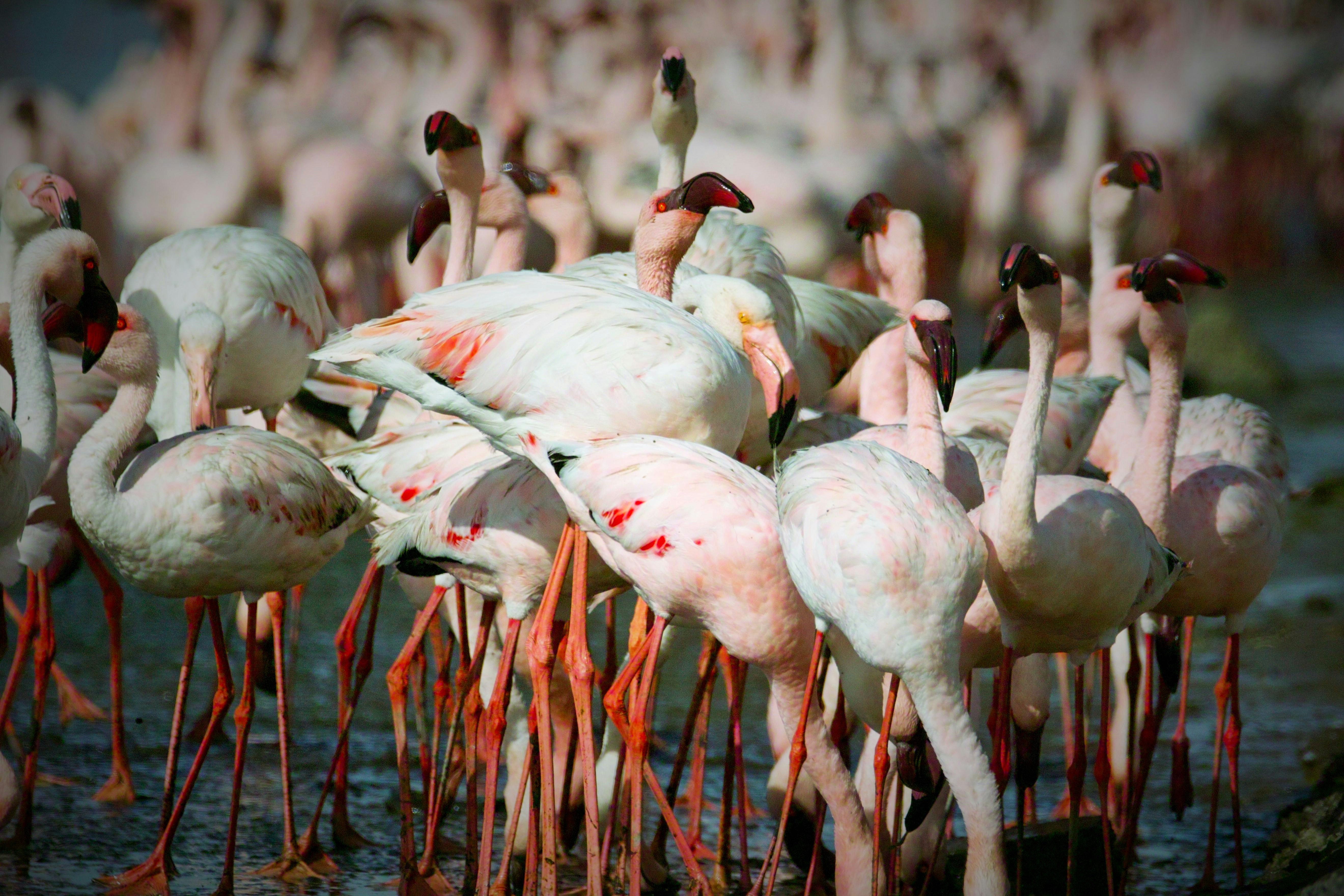 Walvis Bay Highlights Tour