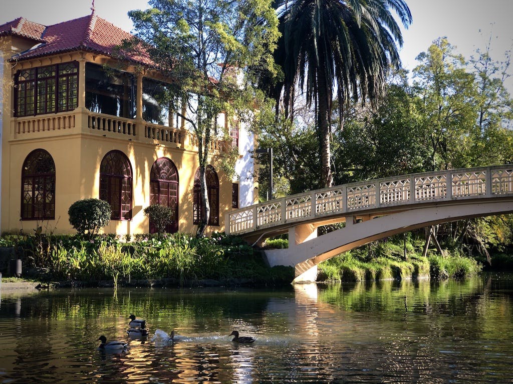 Best of Aveiro bike tour by GPS map Musement