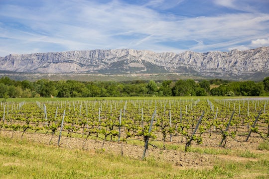 Coteaux d'Aix and Sainte-Victoire full-day private wine tour