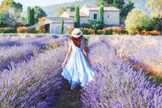 Full-day tour of Provençal Markets and Villages in Lubéron
