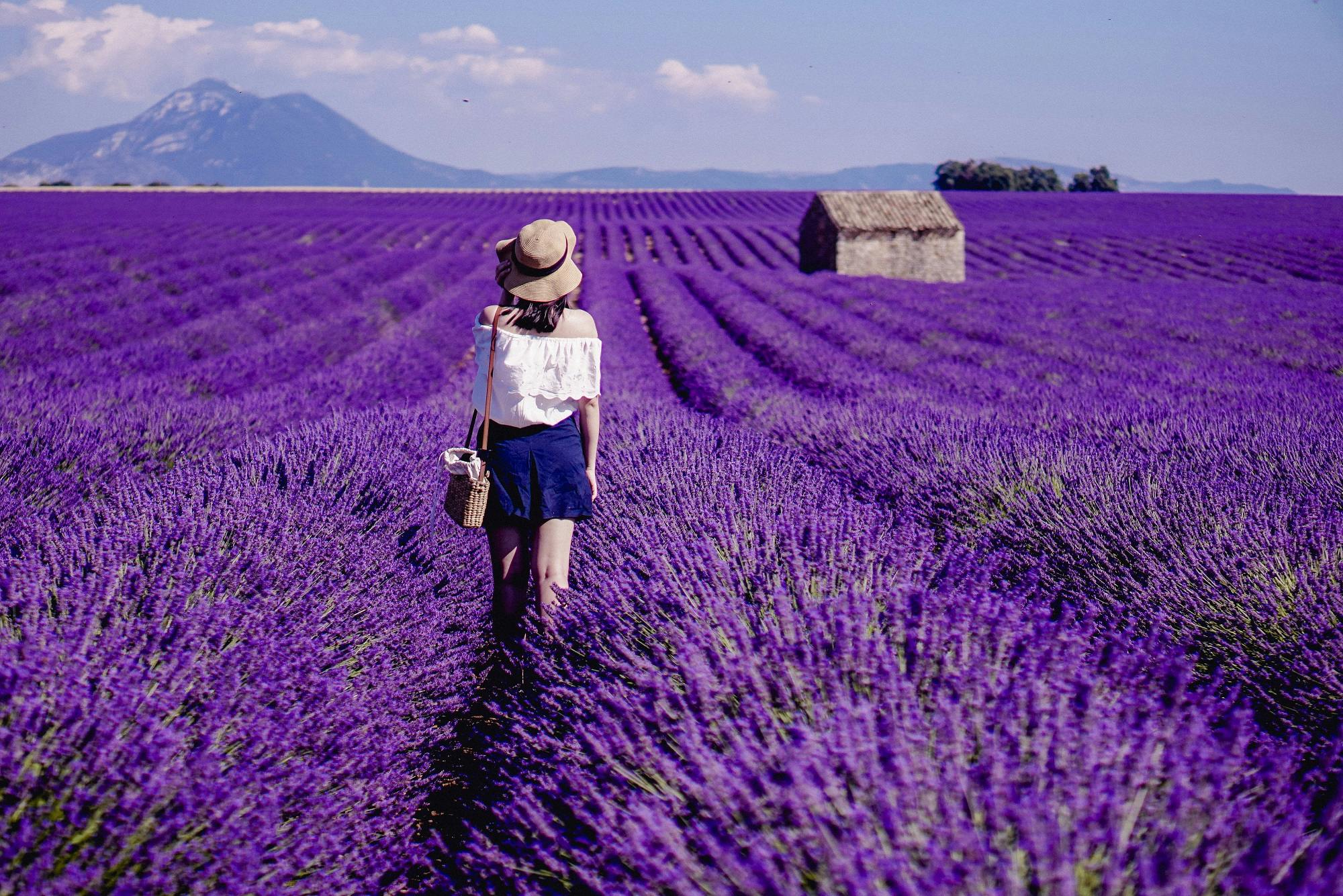 Ganztägige Lavendeltour in Valensole ab Aix en Provence