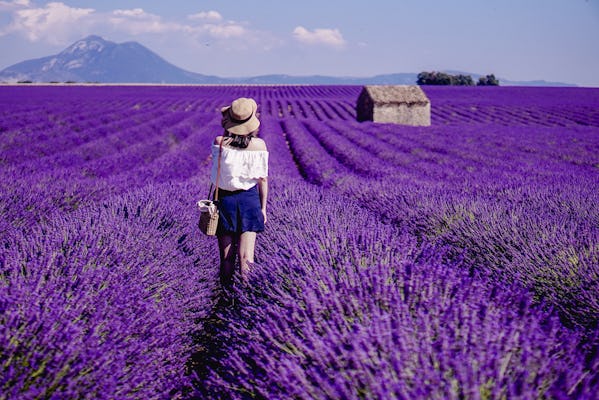Ganztägige Lavendeltour in Valensole ab Aix en Provence