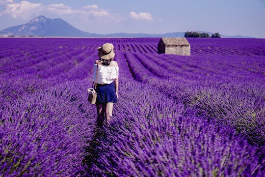 Ganztägige Lavendeltour in Valensole von Aix en Provence