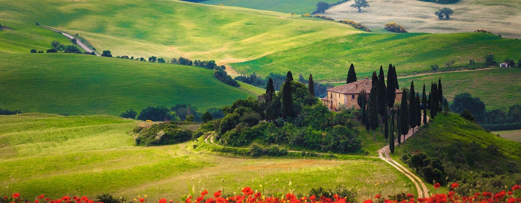 Pienza and Montepulciano food and wine tour from Siena
