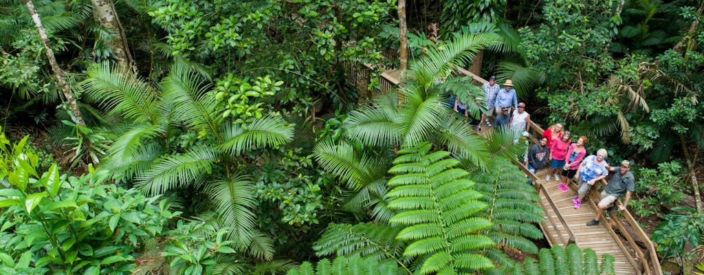 Daintree Rainforest, Cape Tribulation and Bloomfield Track small group tour