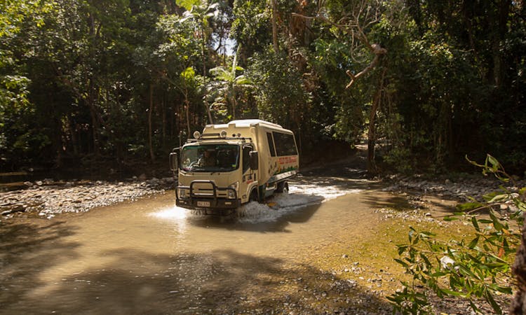 Daintree Rainforest, Cape Tribulation and Bloomfield Track small group tour