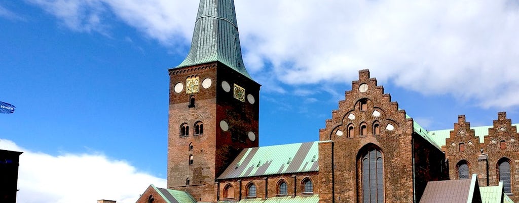 Aarhus: tour privato a piedi di 2 ore