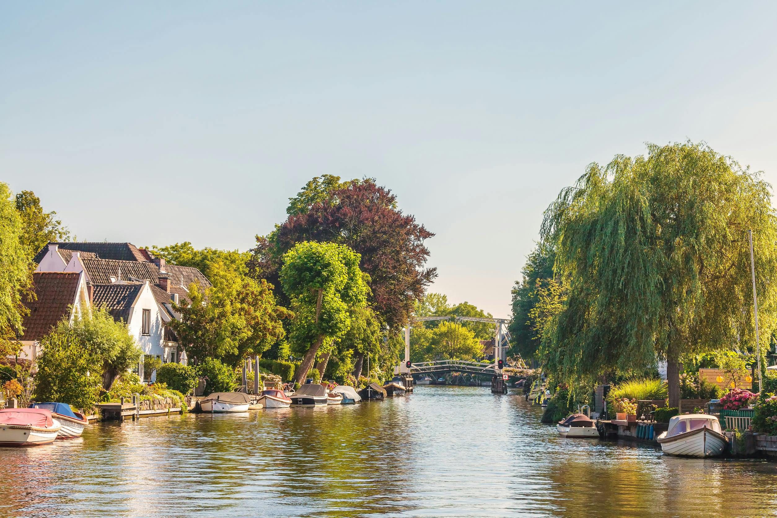 Private afternoon high tea cruise on Vecht River from Amsterdam