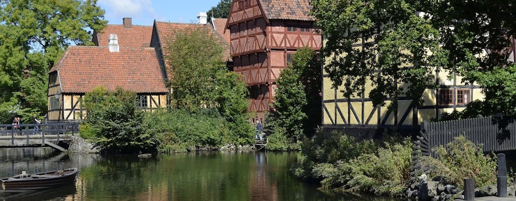 Aarhus and Den Gamle By 3-hour private walking tour
