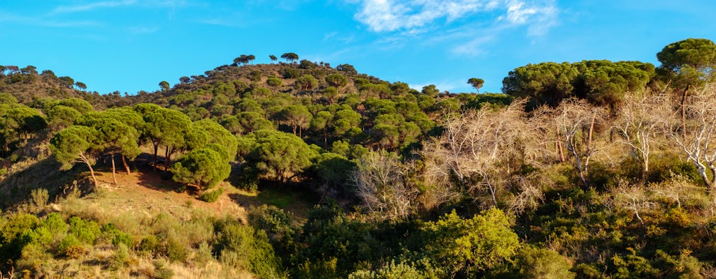 Begeleide off-road zelfbalancerende scootertour door Málaga