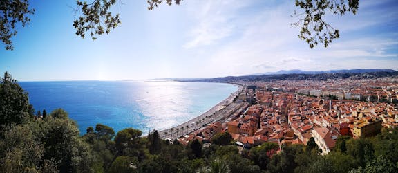 Tour privado de meio dia em Nice