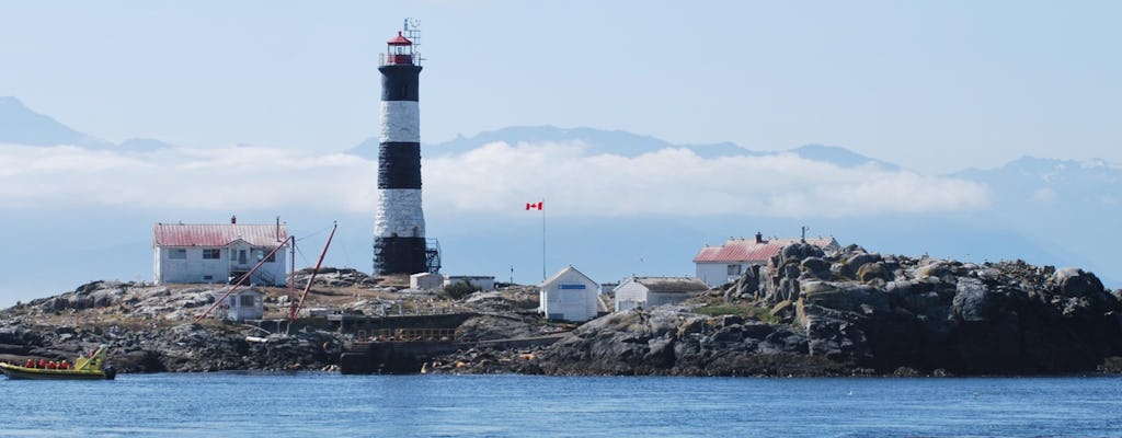 Erste Walbeobachtungstour von Vancouver nach Victoria