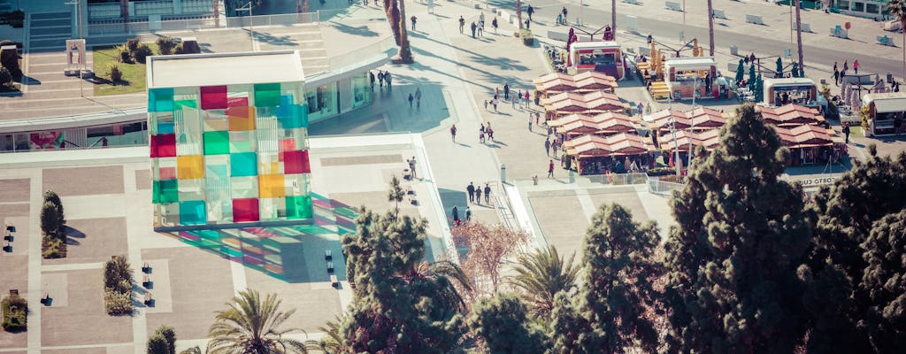 30 minuten begeleide zelfbalancerende scootertour door Málaga