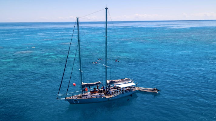 Navegación personal, isla tropical y esnórquel en la Gran Barrera de Coral