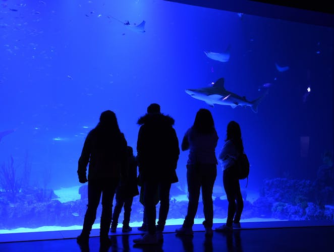 Skip-the-line tickets for the Atlantis Aquarium in Madrid
