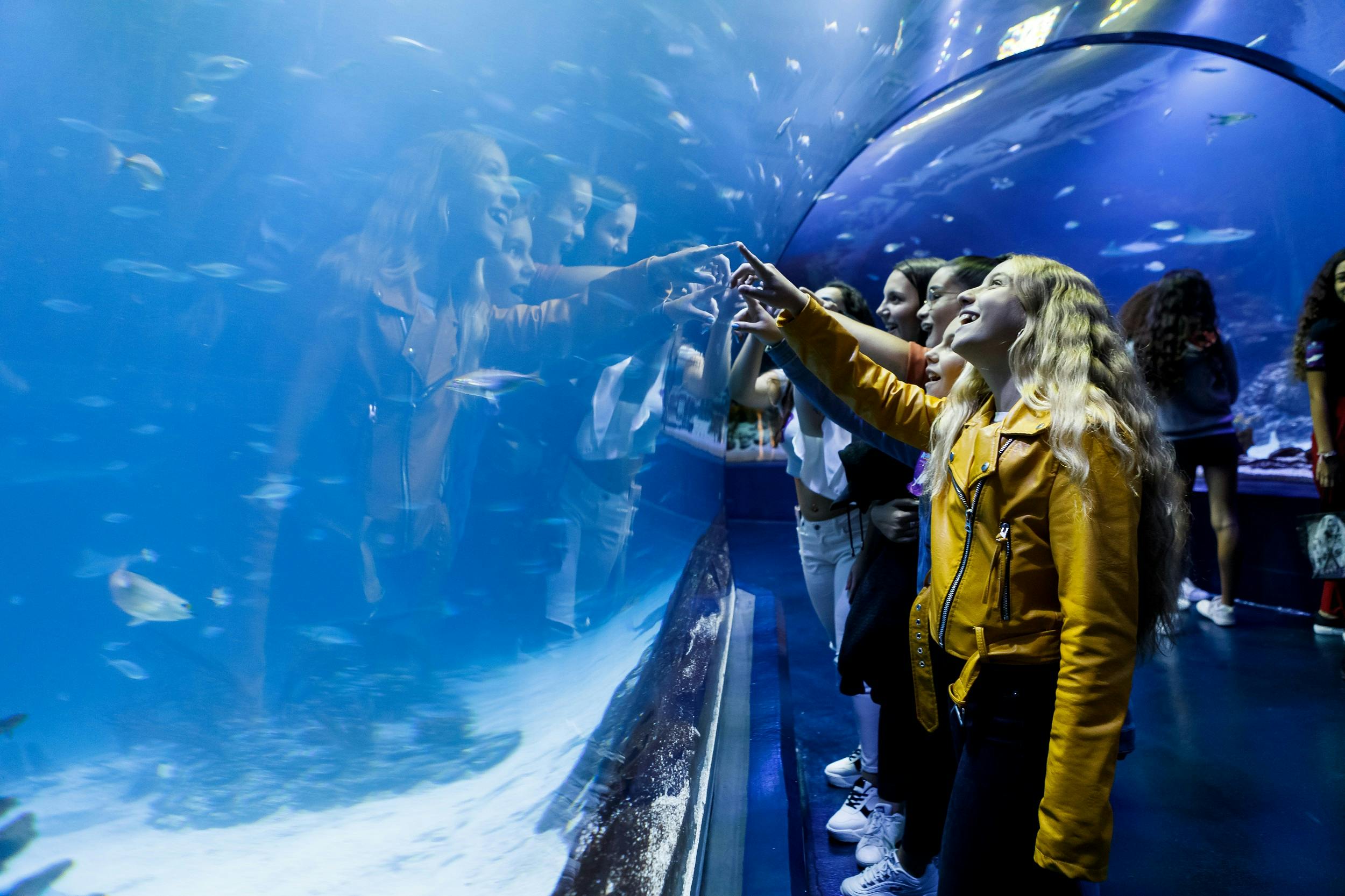 Bilety wstępu do akwarium Atlantis w Madrycie