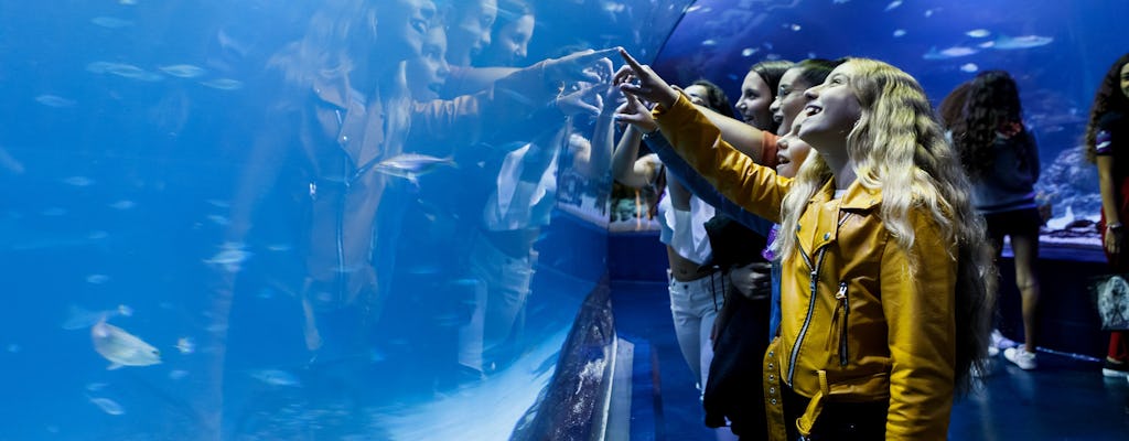 Skip-the-line tickets for the Atlantis Aquarium in Madrid