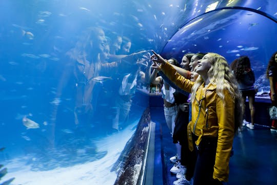 Bilhetes sem fila para o Atlantis Aquarium em Madrid