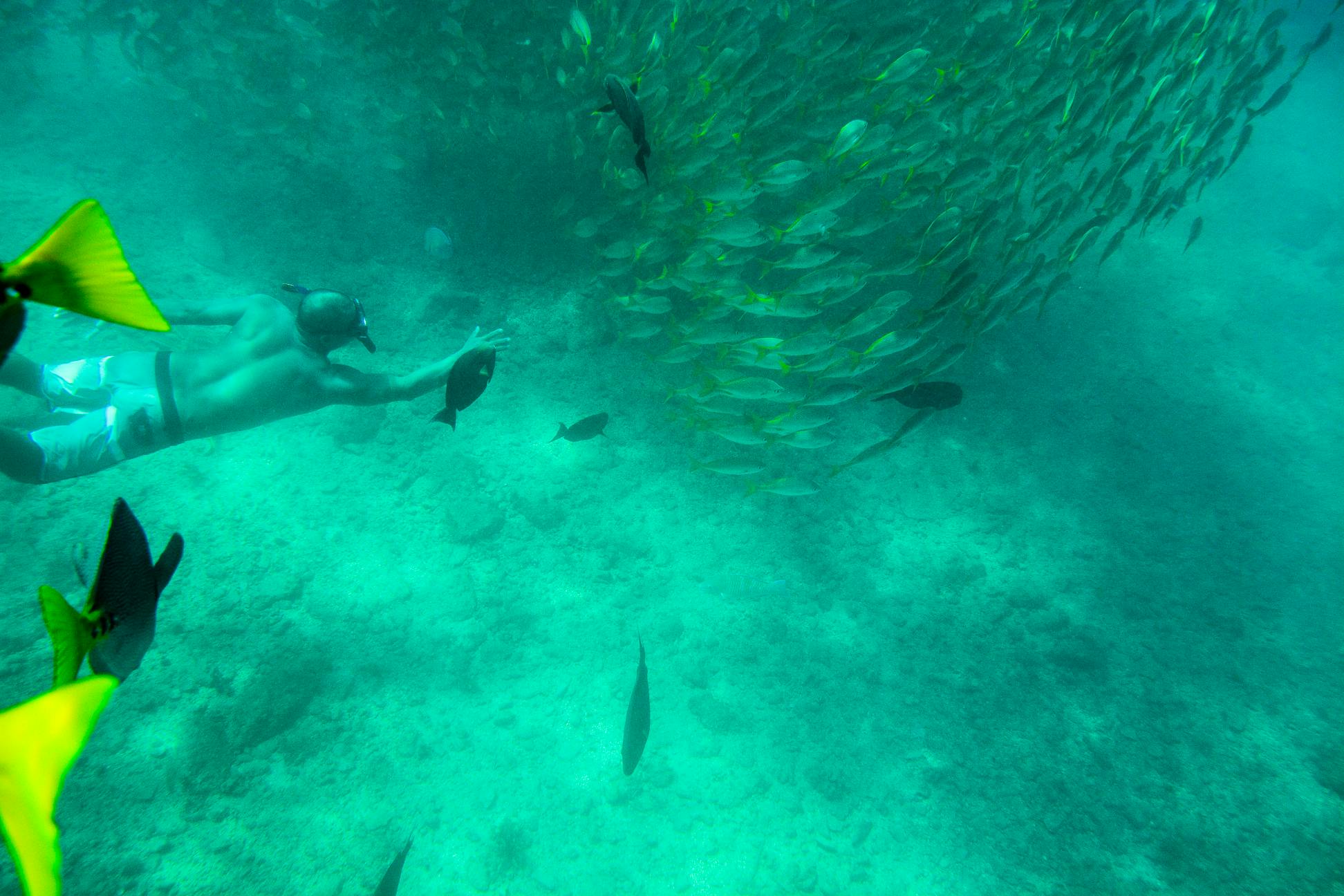 Los Cabos privé snorkeltocht naar Chileno Bay en Santa Maria Cove