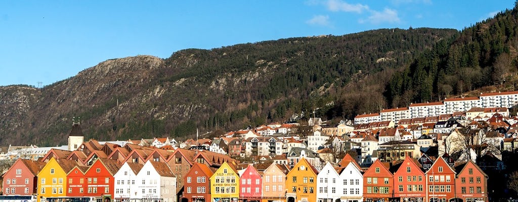 Tour panorâmico privado em Bergen
