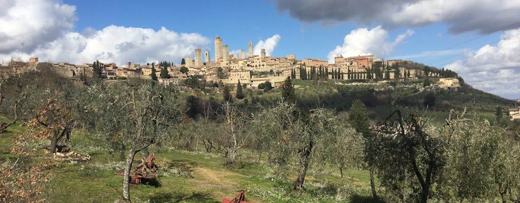 Tour del vino azafrán y Vernaccia en San Gimignano