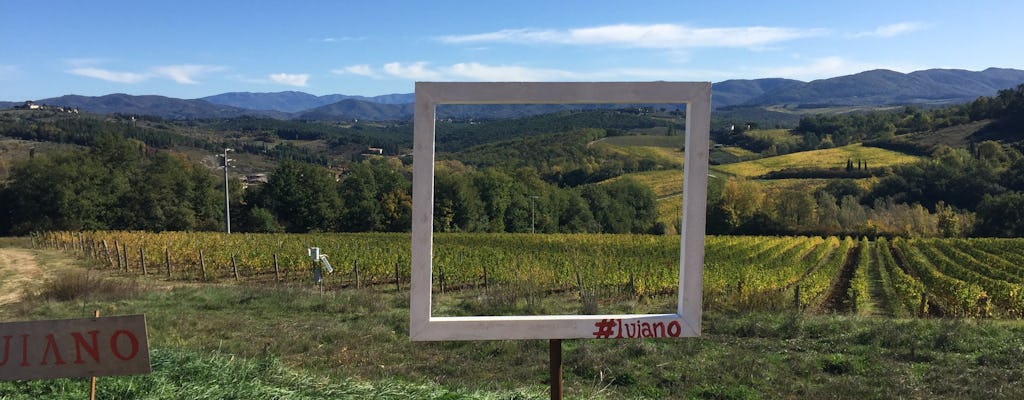 Tour do vinho Chianti orgânico de Florença