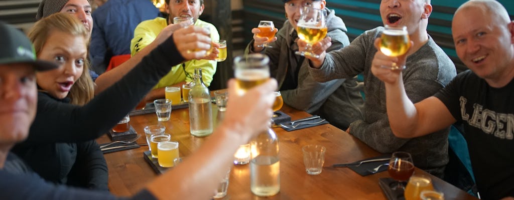 Tour de la cerveza en Reikiavik y ruta de bares