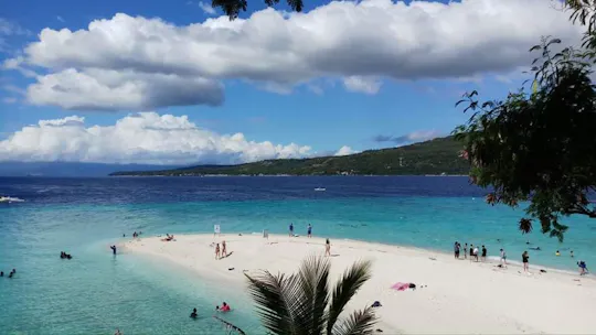 Full-day Oslob whale shark and Sumilon sandbar
