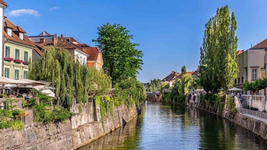 City tour and boat cruise along the Ljubljanica