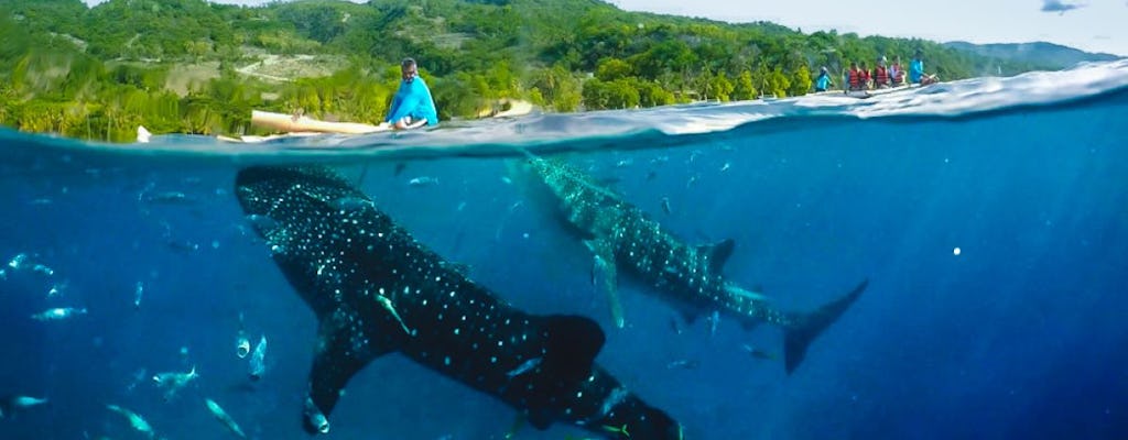 Aventura de barranquismo y tiburón ballena de Oslob de día completo