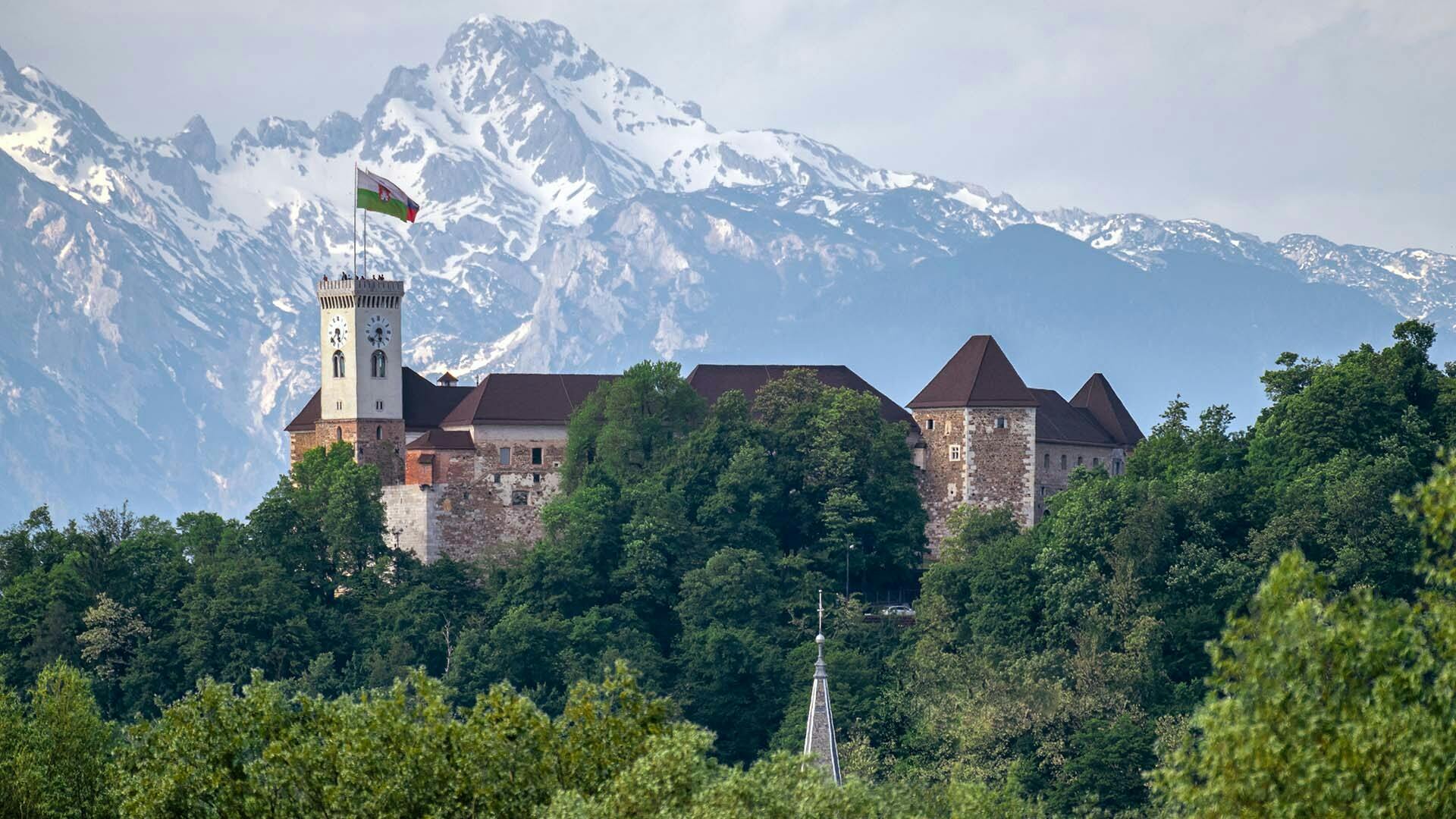 Prywatna wycieczka z przewodnikiem po starym centrum miasta i zamku w Lublanie