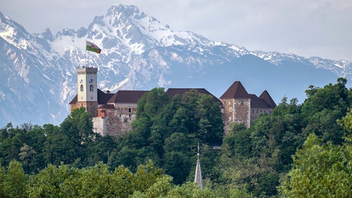 Prywatna wycieczka z przewodnikiem po starym centrum miasta i zamku w Lublanie