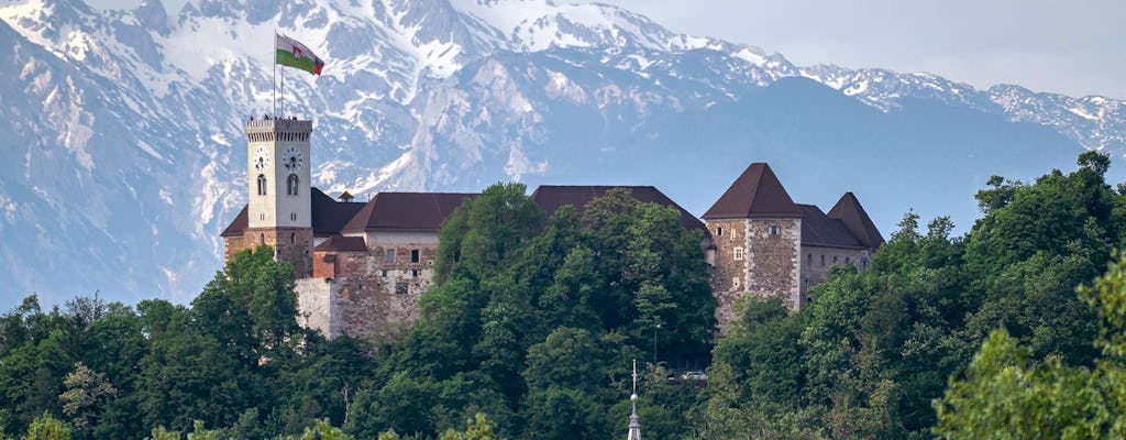 Visite guidée privée du vieux centre-ville et du château de Ljubljana