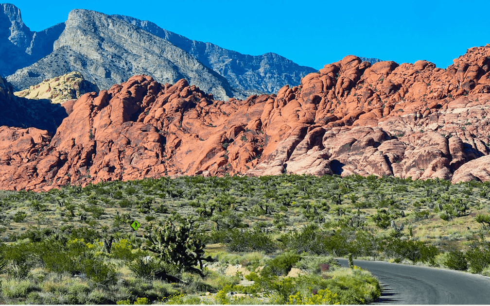 Каньон красная скала невада сша. Штат невада ред рок каньон. Red rock. Каньон ред-рок невада. Каньон лас вегас.