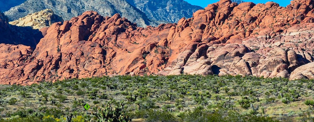 Tour del Red Rock Canyon
