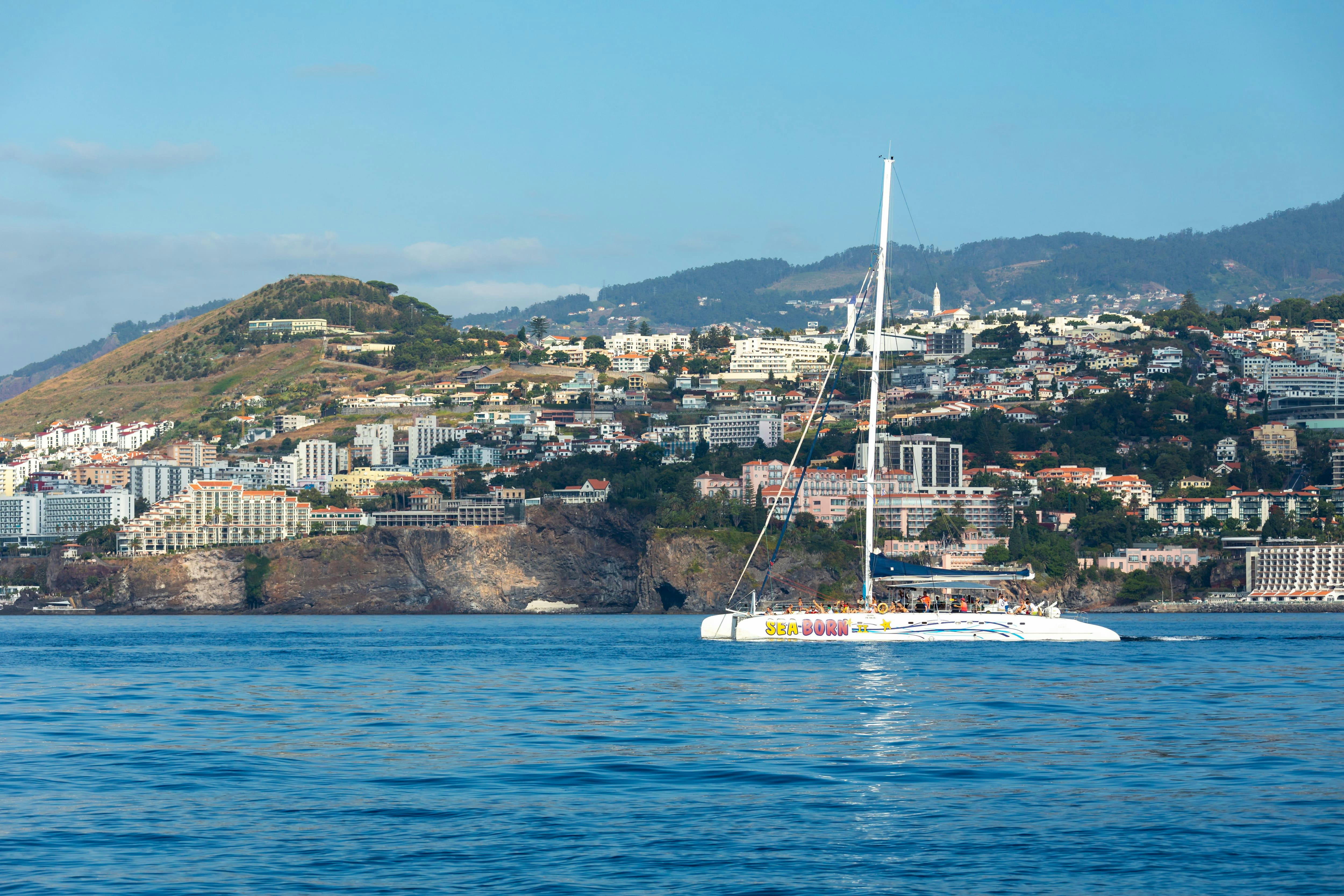 Seaborn Catamaran