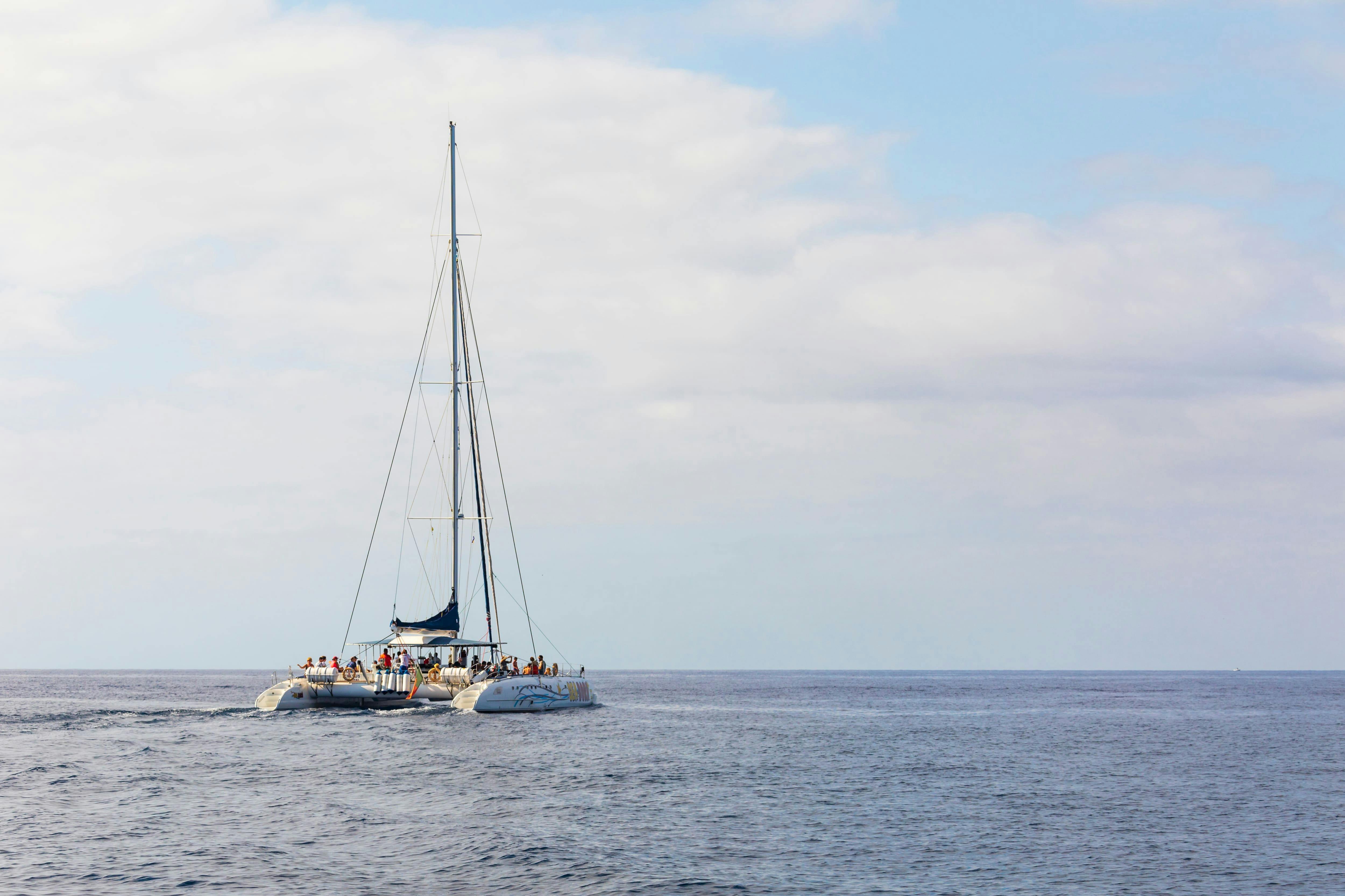 Seaborn Catamaran