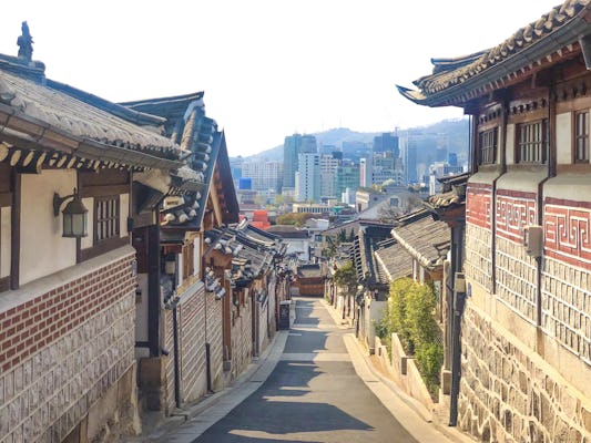 Seoul Zombie City Erkundungsspiel und private Tour