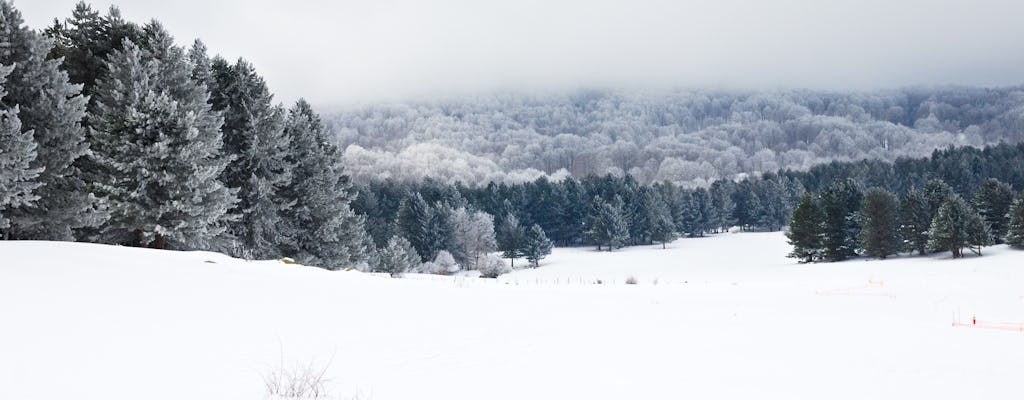 Tour de raquetas de nieve en el Parque Nacional de Sila con almuerzo