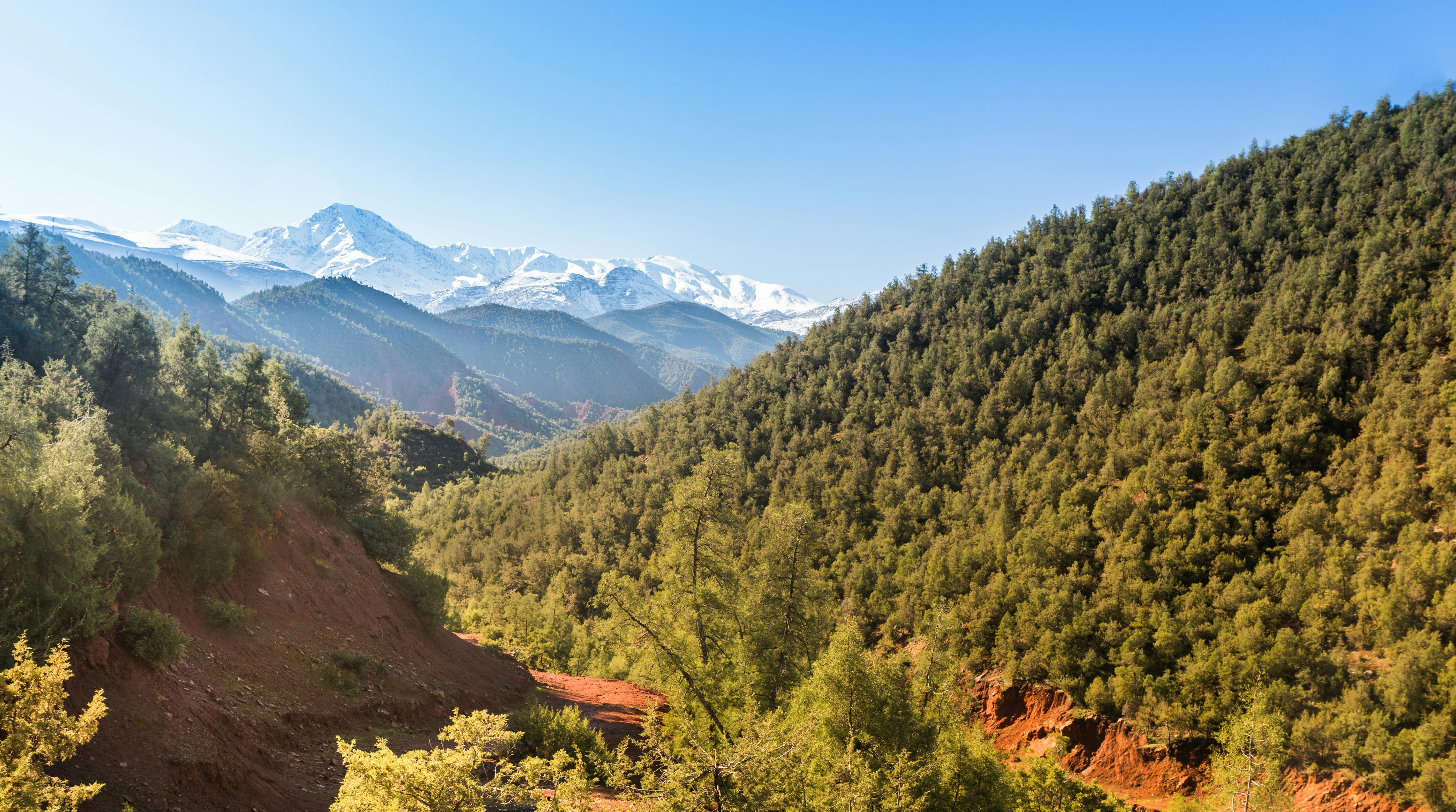 Guided Ourika Valley day trip from Marrakech